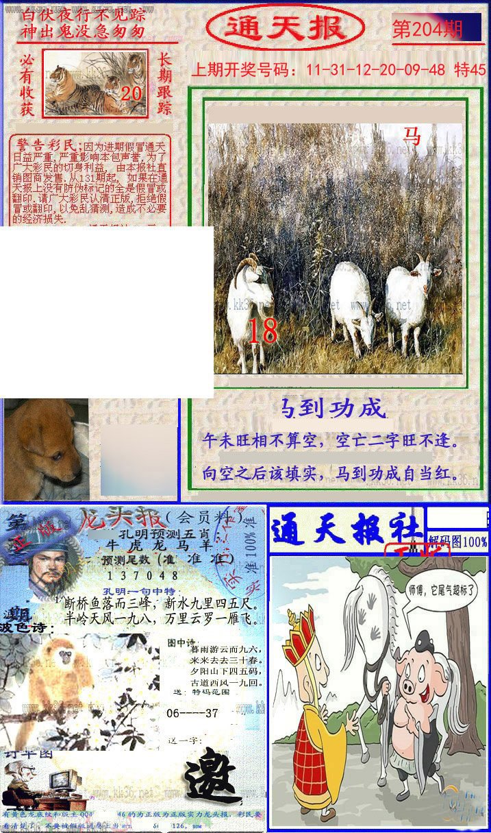 2024204期实力通天报