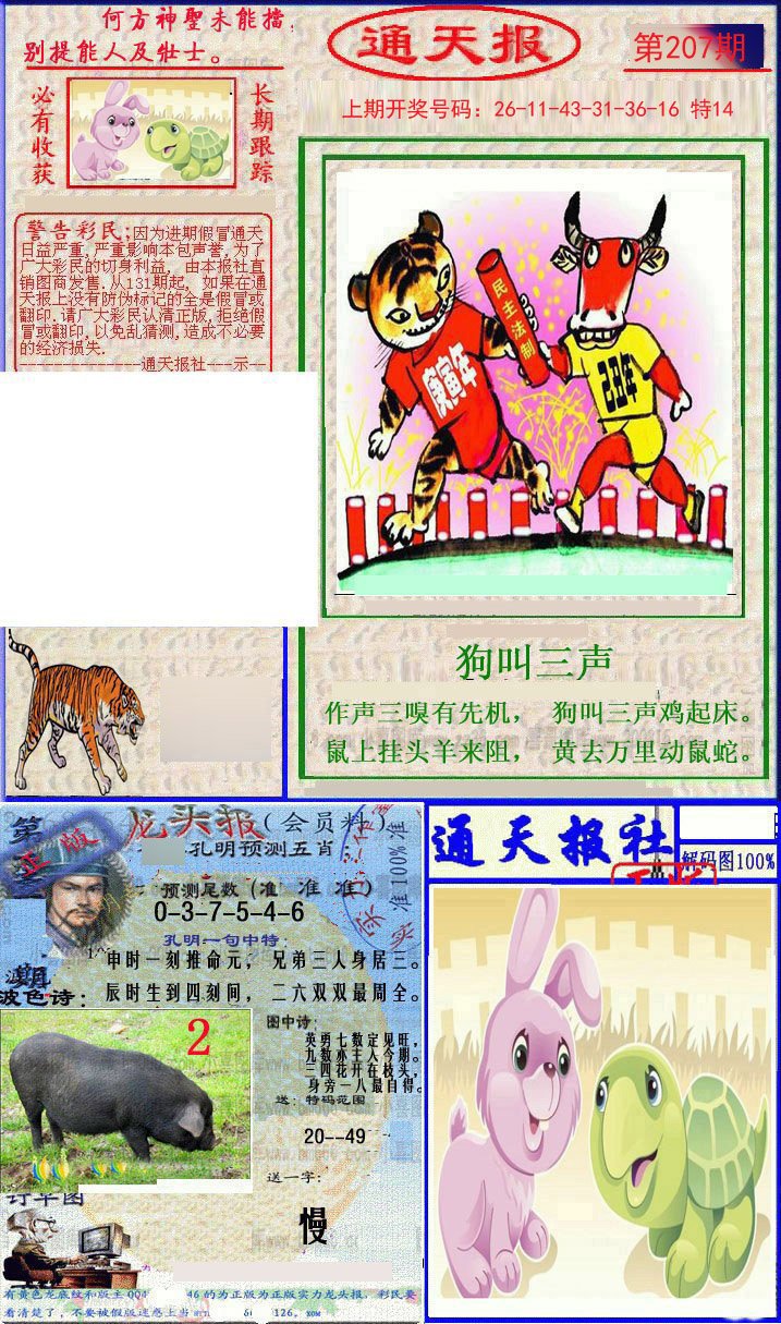2024207期实力通天报