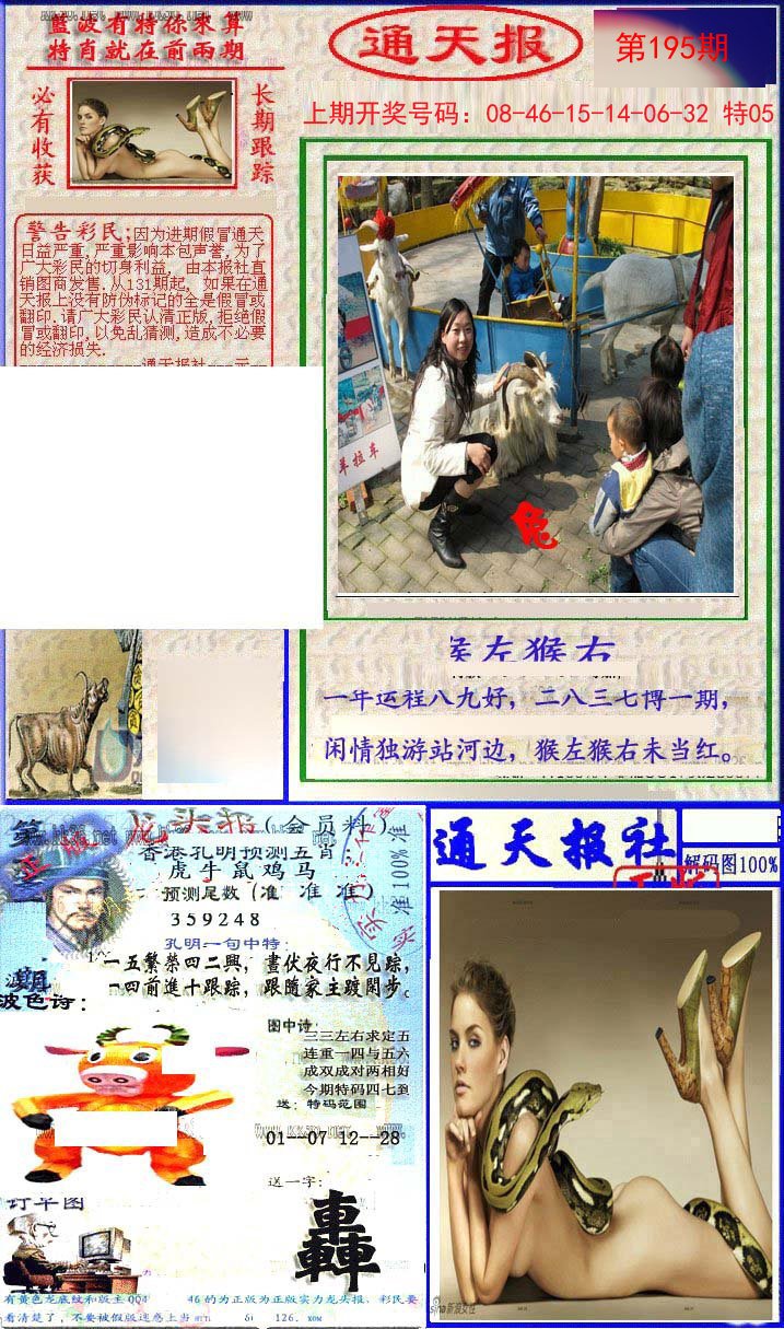2024195期实力通天报