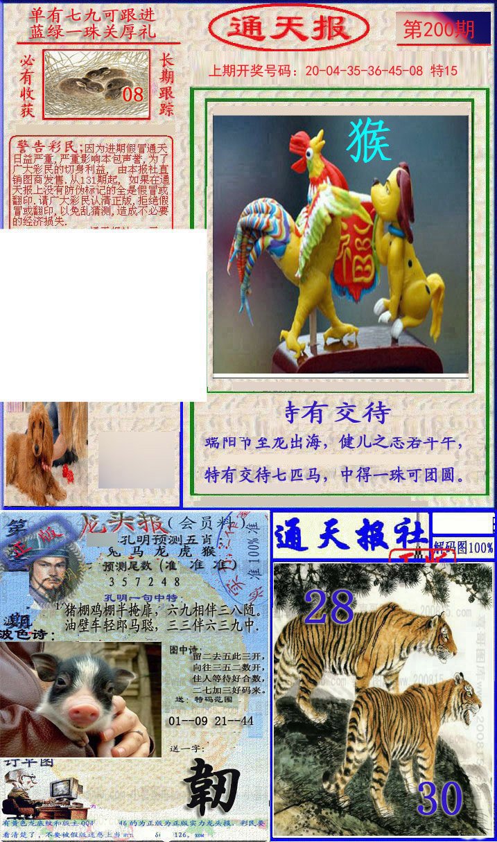 2024200期实力通天报