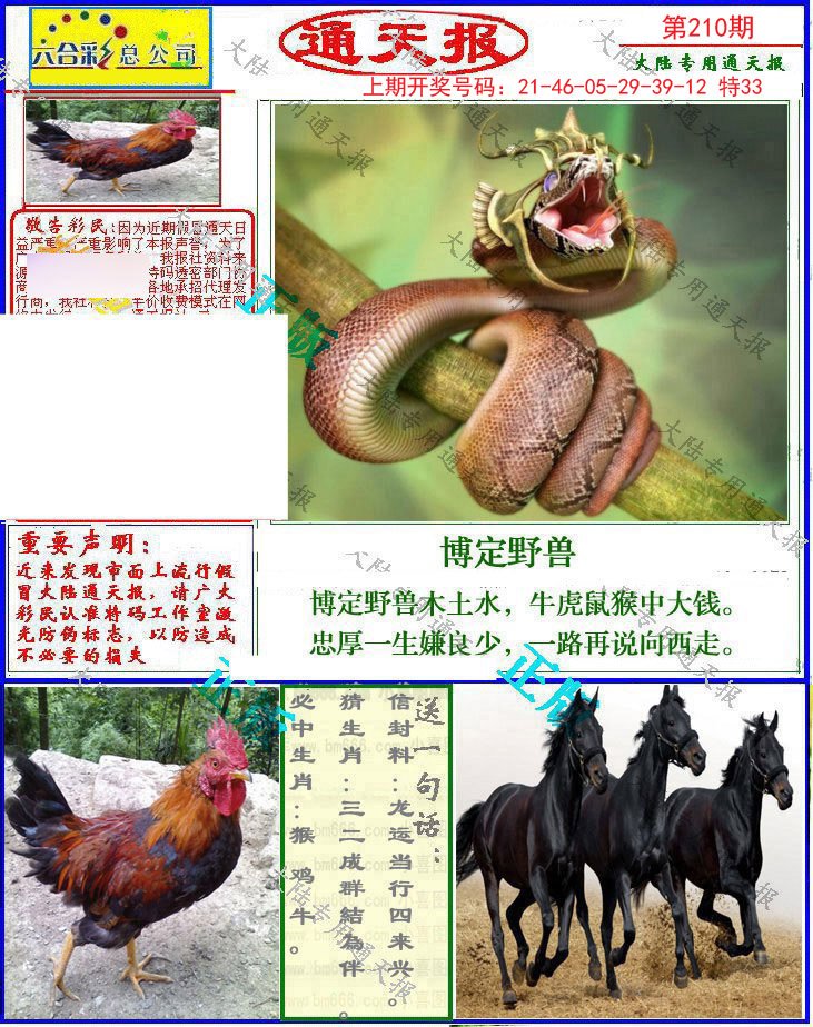 2024210期大陆通天报