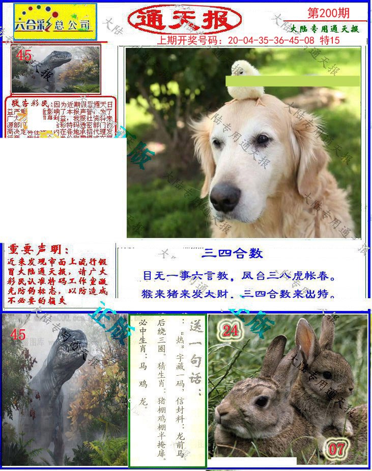 2024200期大陆通天报