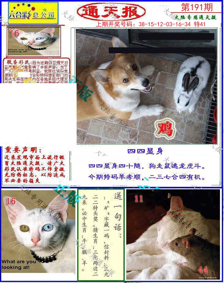 2024191期大陆通天报