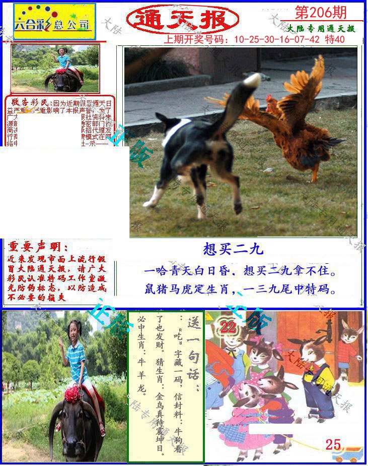 2024206期大陆通天报