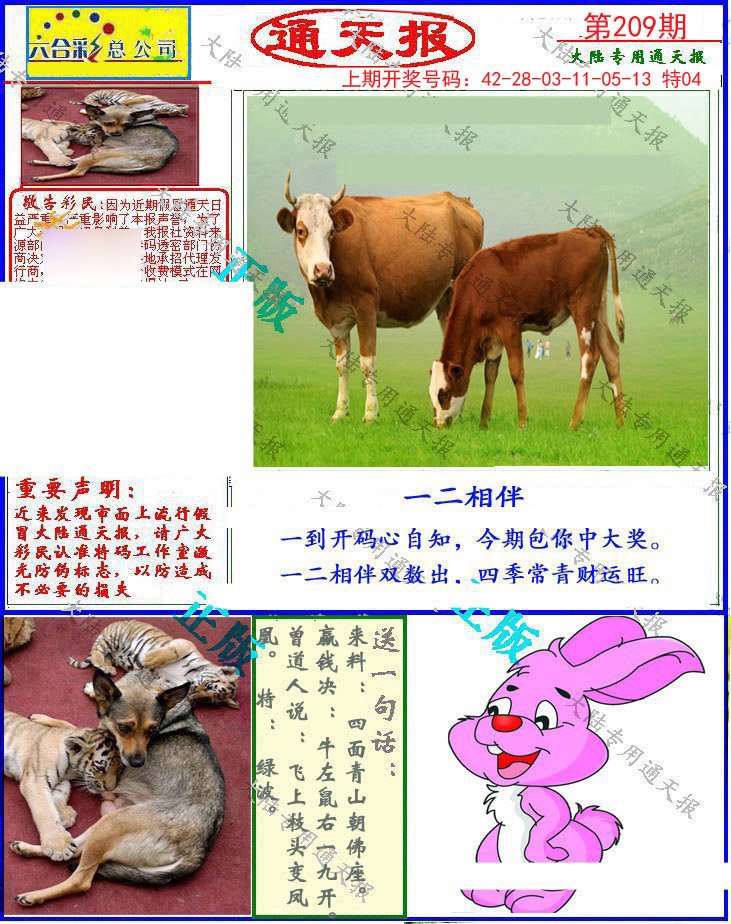 2024209期大陆通天报