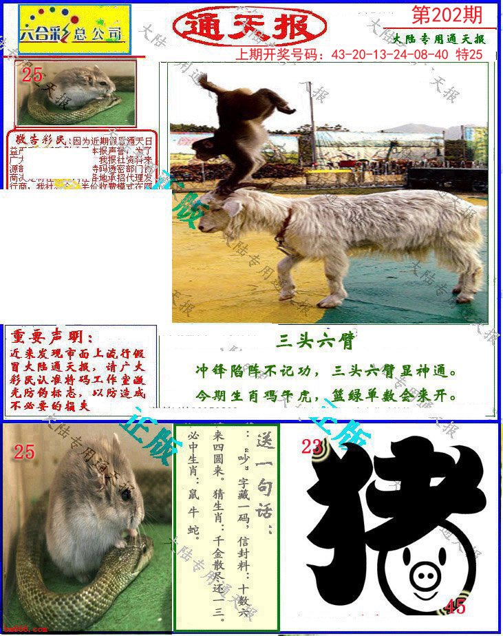2024202期大陆通天报