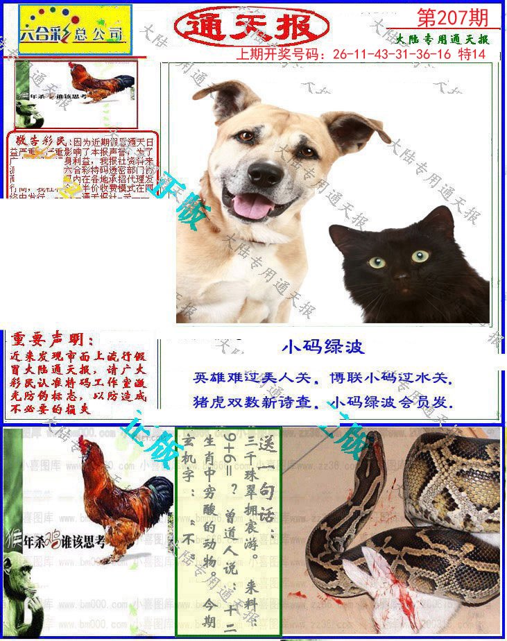 2024207期大陆通天报