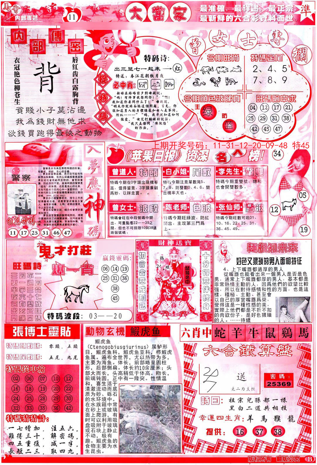 2024204期彩卷后庄B