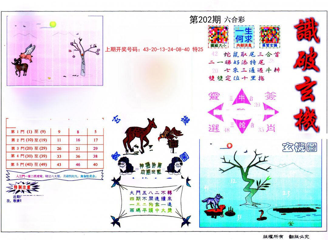 2024202期识破玄机