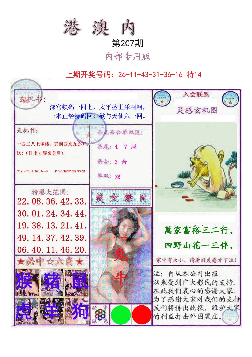 2024207期港澳内幕报