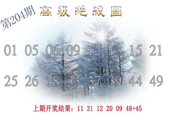 2024204期高级内部绝杀