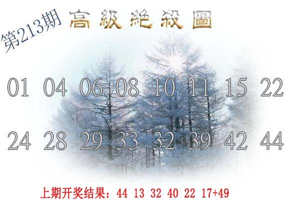 2024213期高级内部绝杀