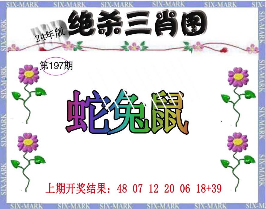 2024197期生财有道杀三肖