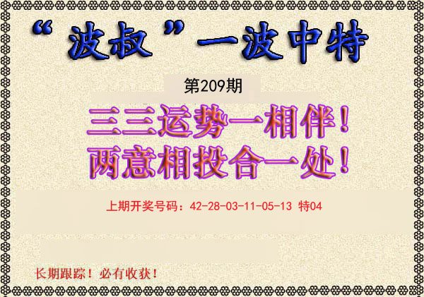 2024209期波叔一波中特