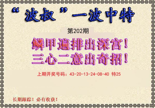 2024202期波叔一波中特