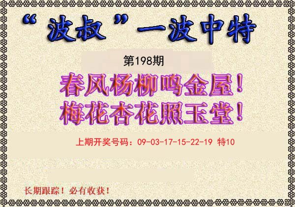 2024198期波叔一波中特