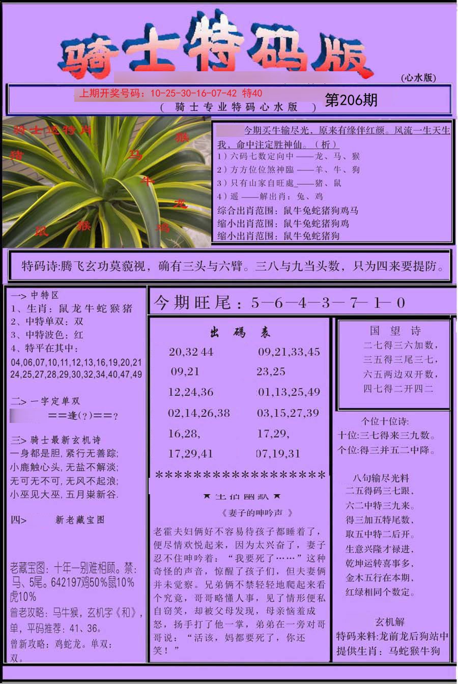 2024206期骑士特码版