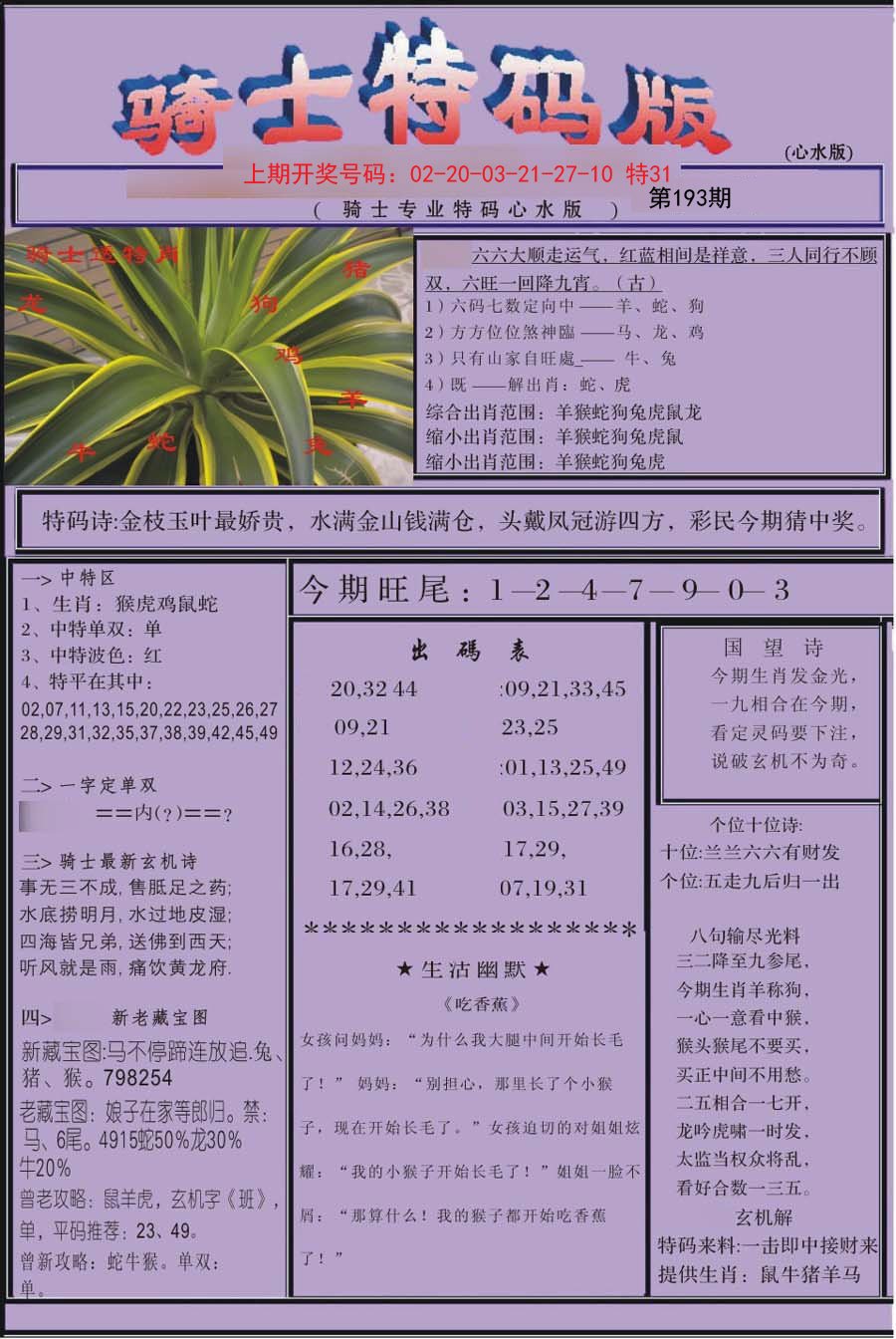 2024193期骑士特码版