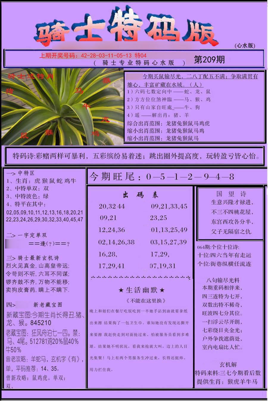 2024209期骑士特码版