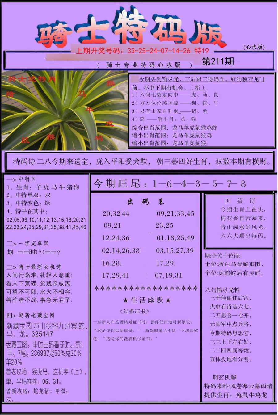 2024211期骑士特码版