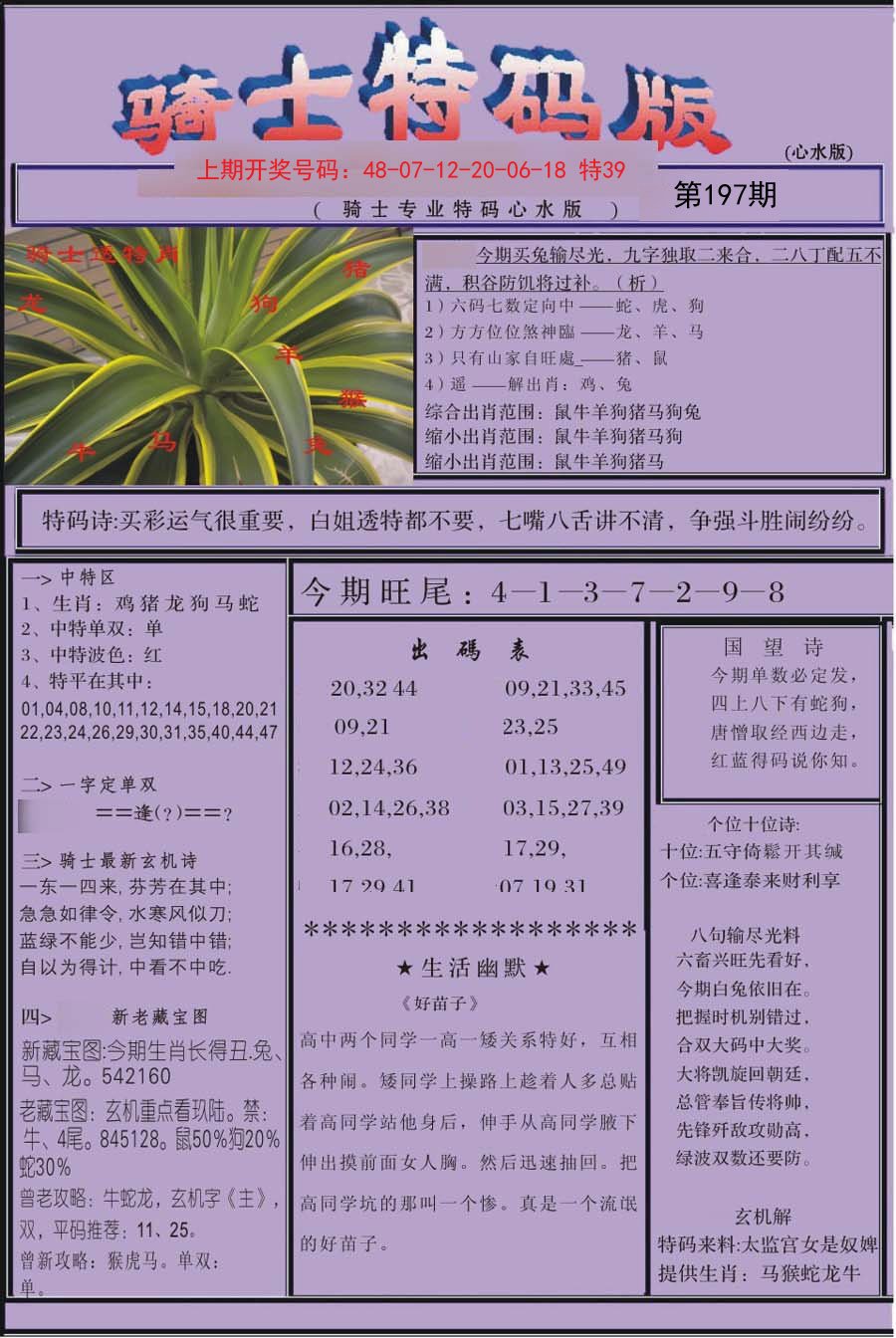 2024197期骑士特码版
