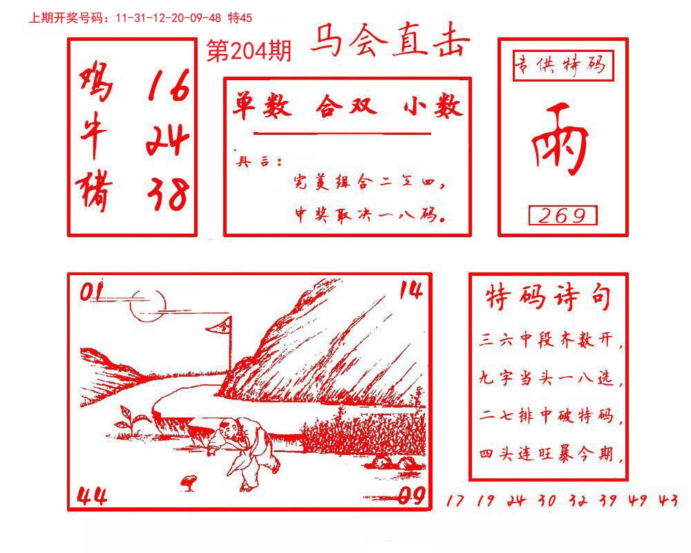 2024204期马会直击