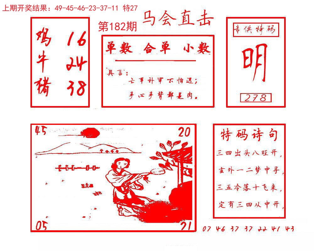 2024182期马会直击