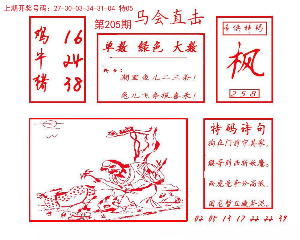2024205期马会直击