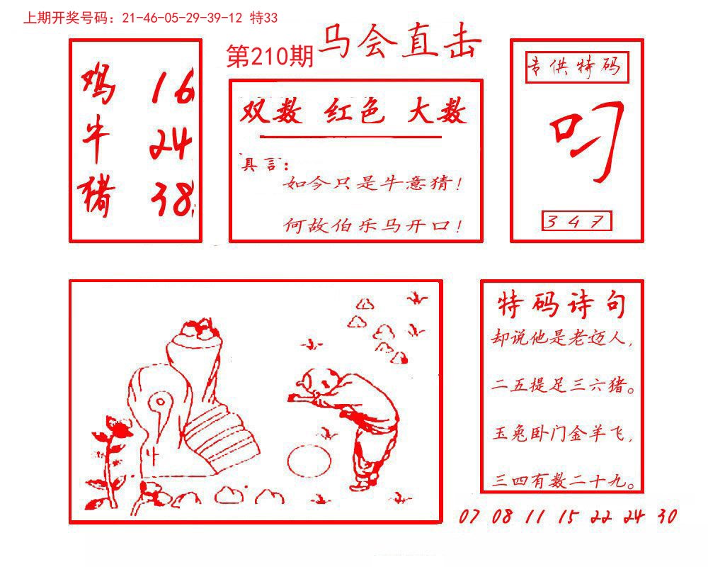 2024210期马会直击