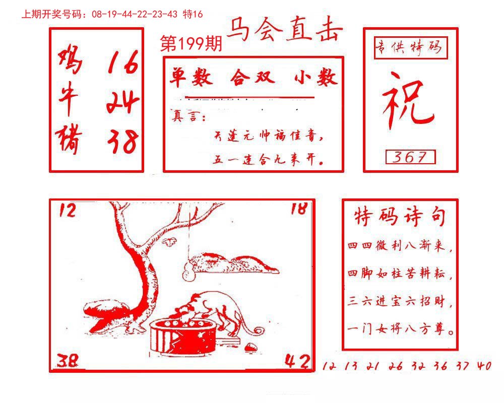 2024199期马会直击