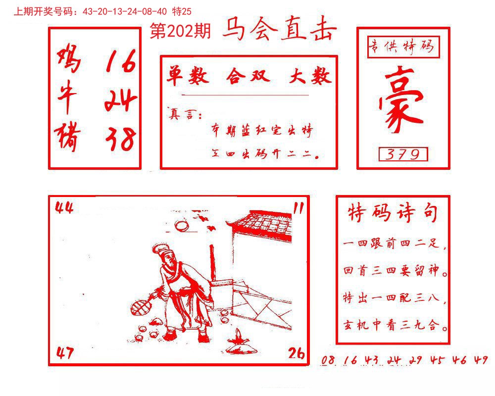 2024202期马会直击