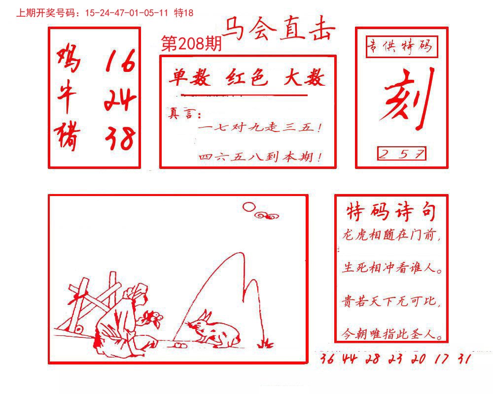 2024208期马会直击