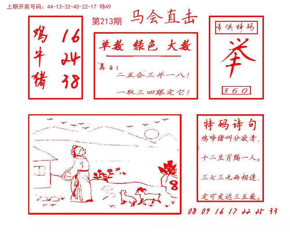 2024213期马会直击