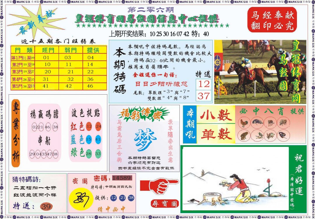 2024206期体育网马经图