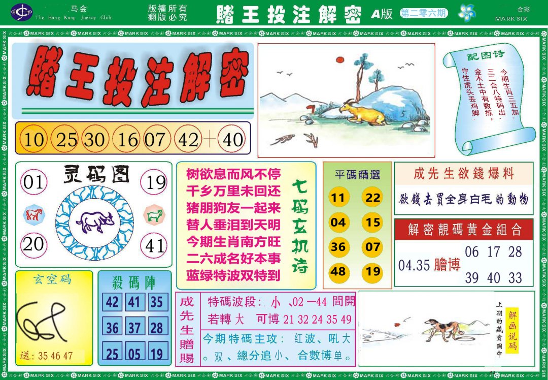 2024206期赌王投注解密