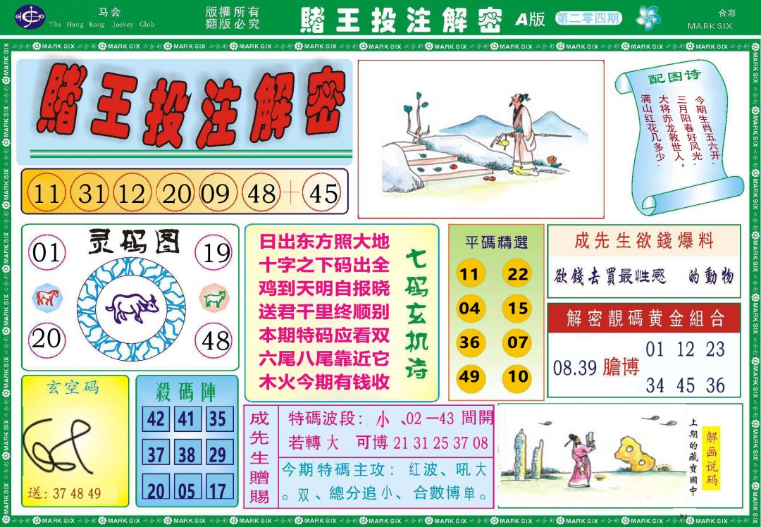 2024204期赌王投注解密