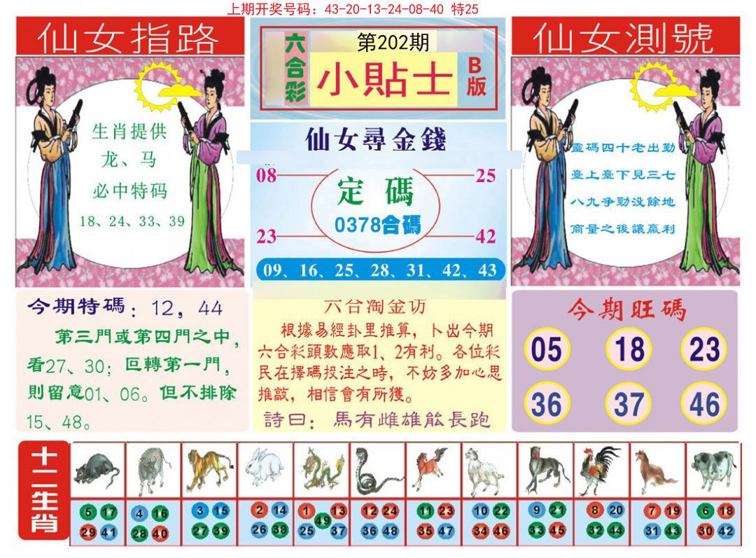 2024202期小贴士B