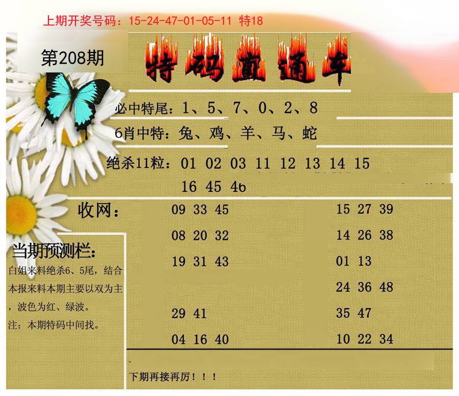 2024208期特码直通车