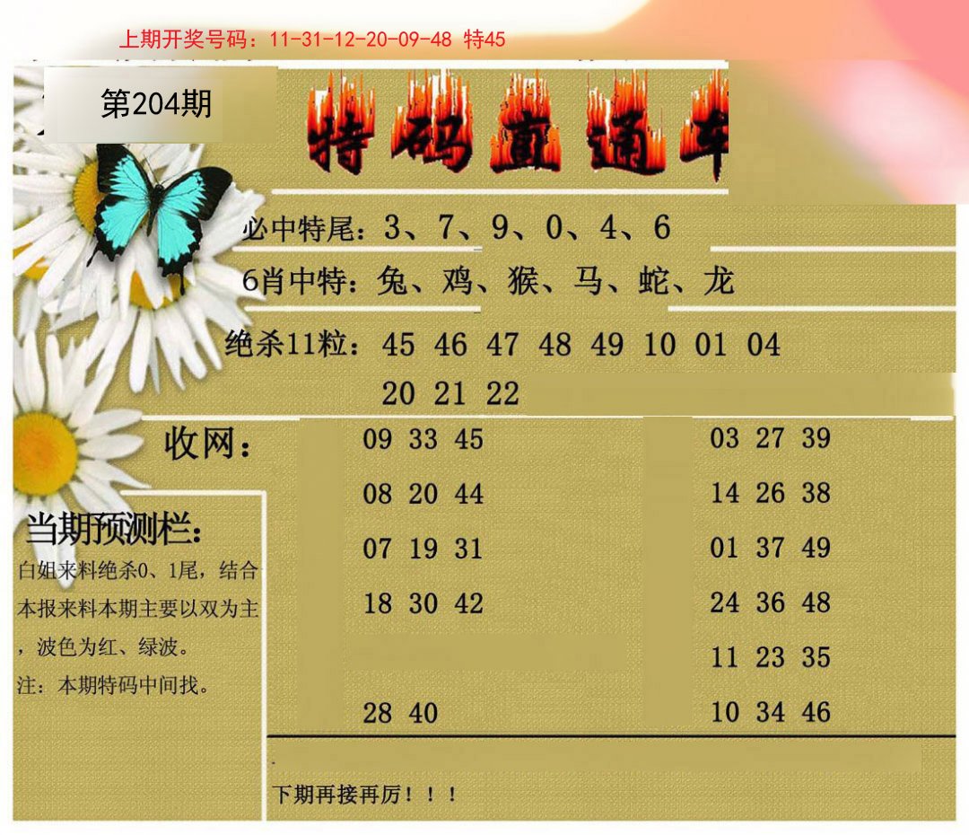 2024204期特码直通车