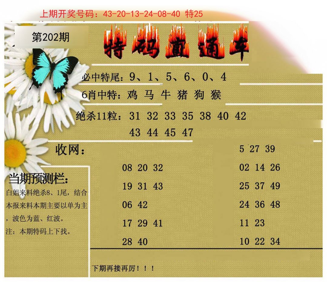 2024202期特码直通车