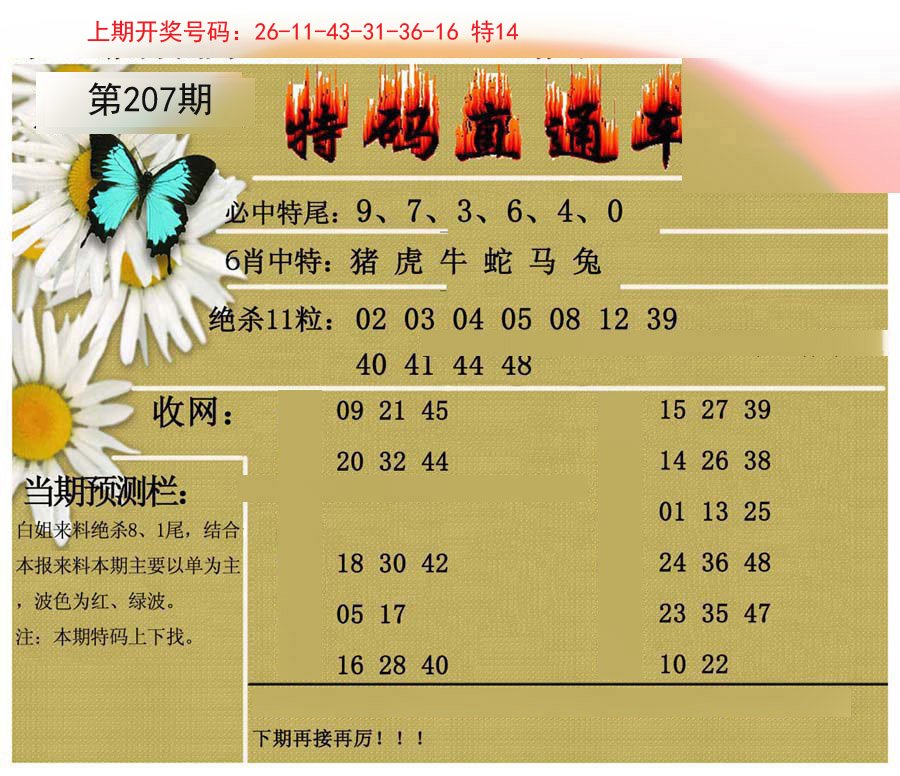 2024207期特码直通车