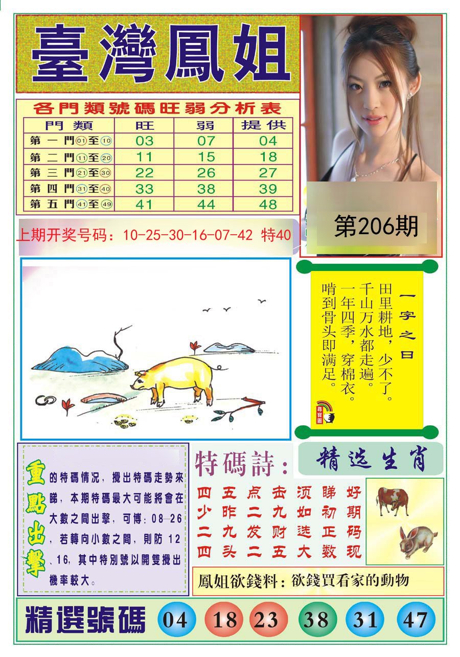 2024206期台湾凤姐