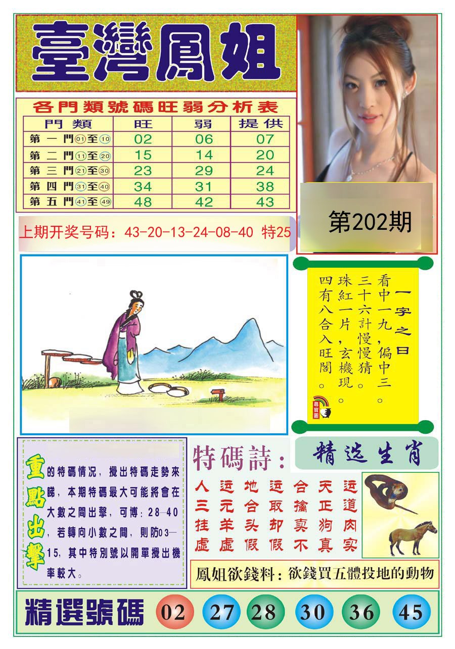 2024202期台湾凤姐