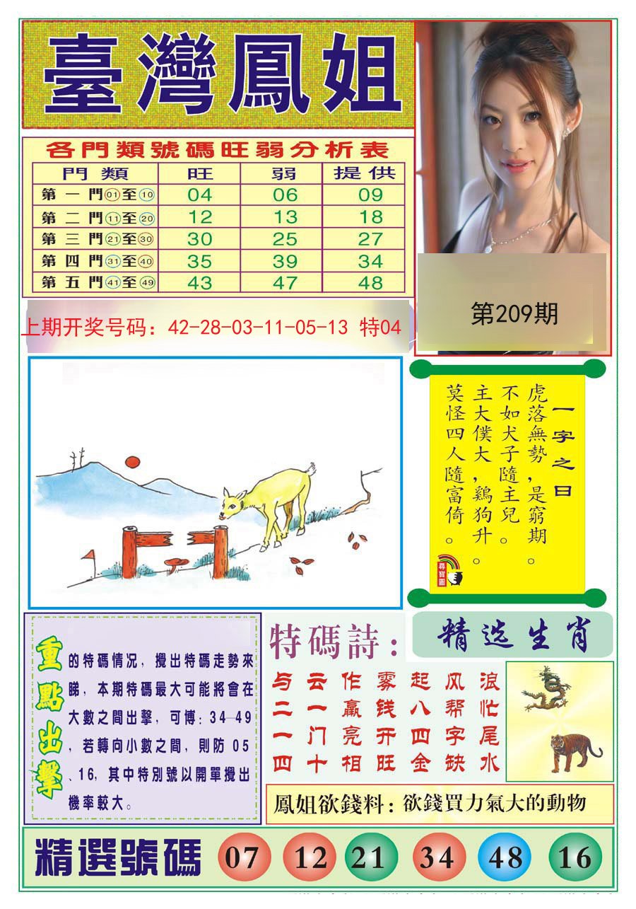 2024209期台湾凤姐