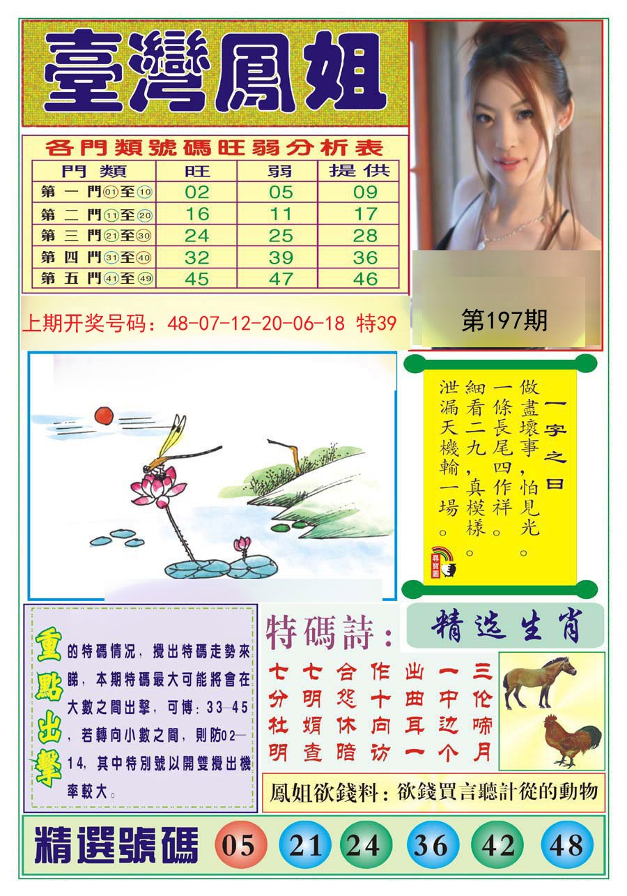 2024197期台湾凤姐
