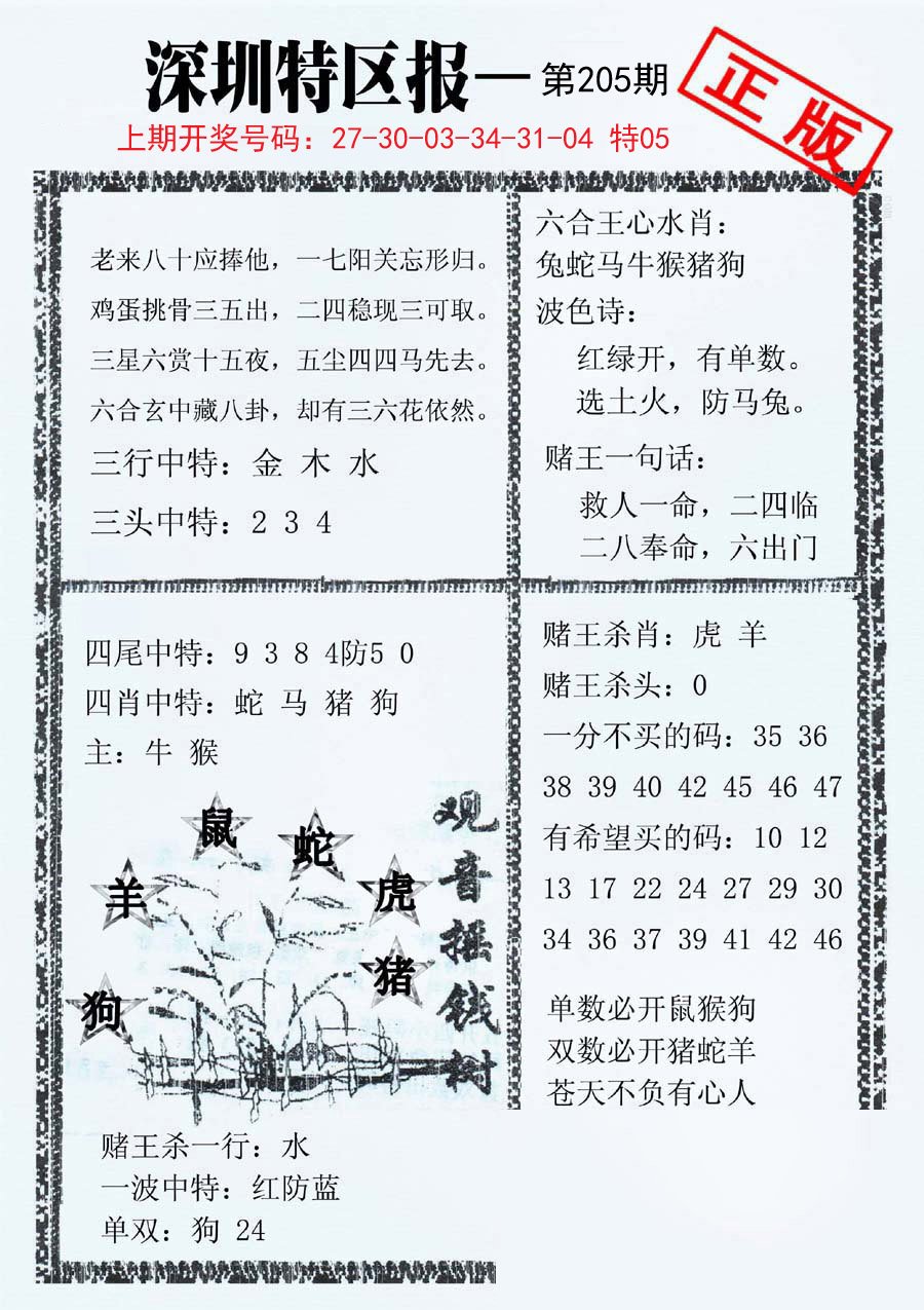 2024205期深圳特区报A