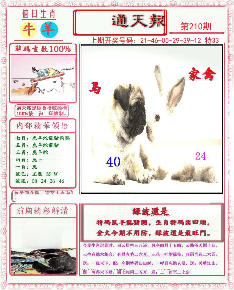 2024210期小喜通天报