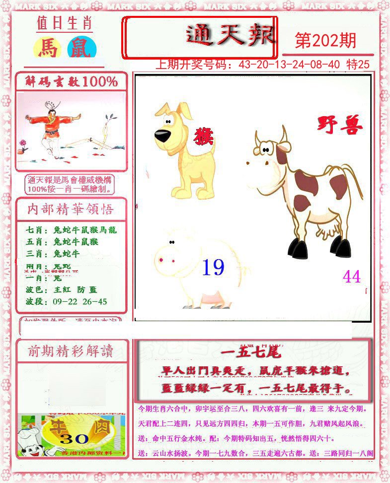 2024202期小喜通天报