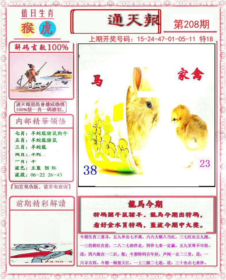 2024208期小喜通天报