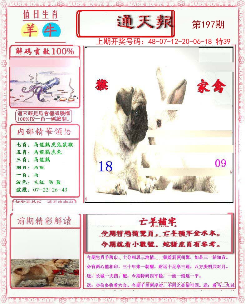 2024197期小喜通天报